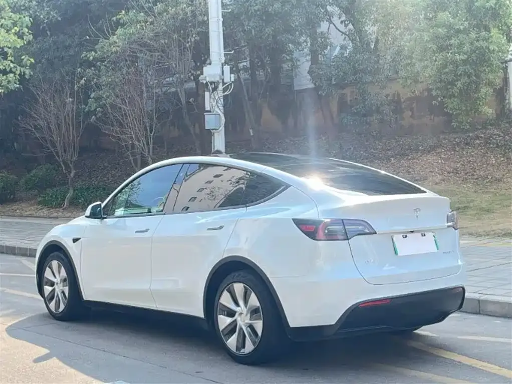 Tesla Model Y 2022 из CN, фото 6