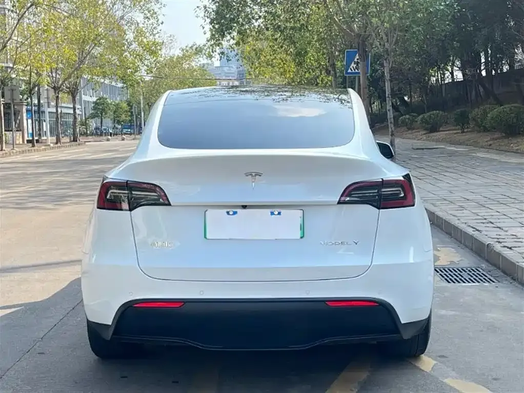 Tesla Model Y 2022 из CN, фото 7
