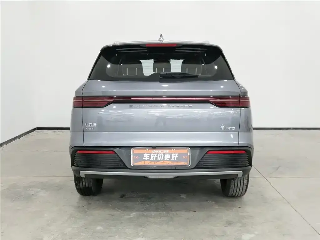 BYD Pro New Energy — фото 5