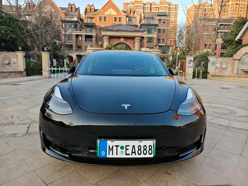 Tesla Model 3 2021 из CN, фото 3