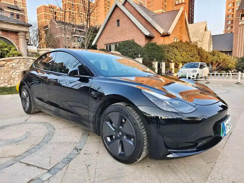 Tesla Model 3 2021 из CN, фото 4