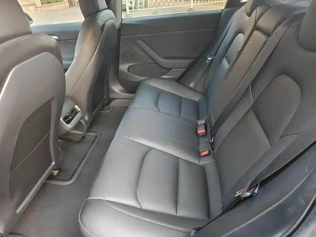 Tesla Model 3 2021 из CN, фото 7