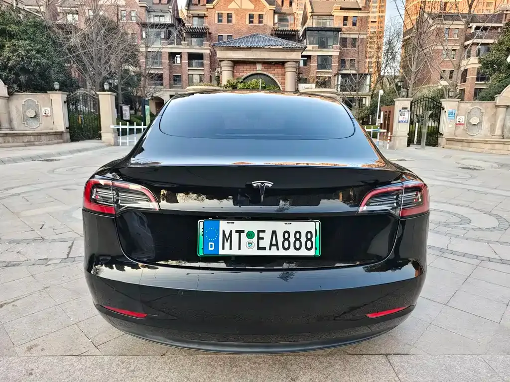 Tesla Model 3 2021 из CN, фото 9