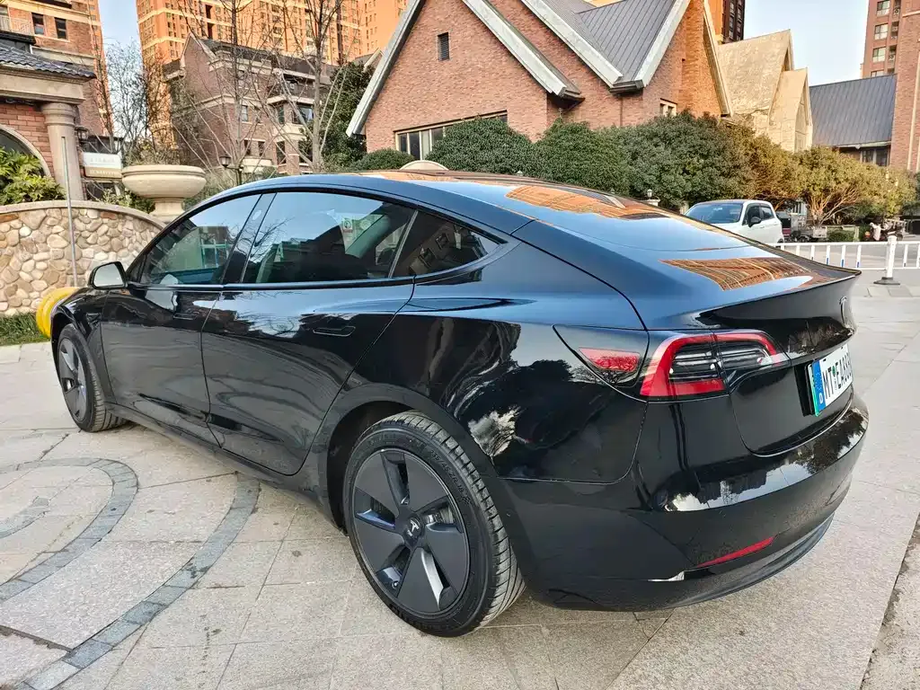 Tesla Model 3 2021 из CN, фото 8