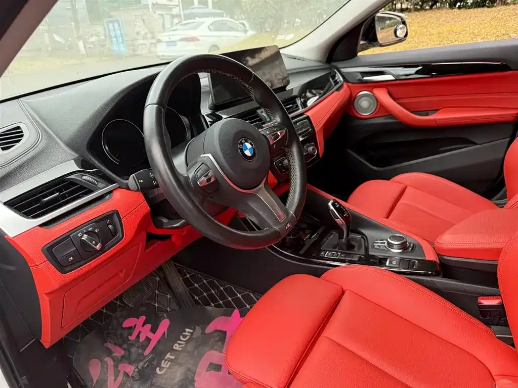BMW X2 2023 из CN, фото 8