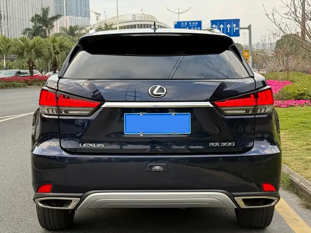 Lexus RX — фото 4