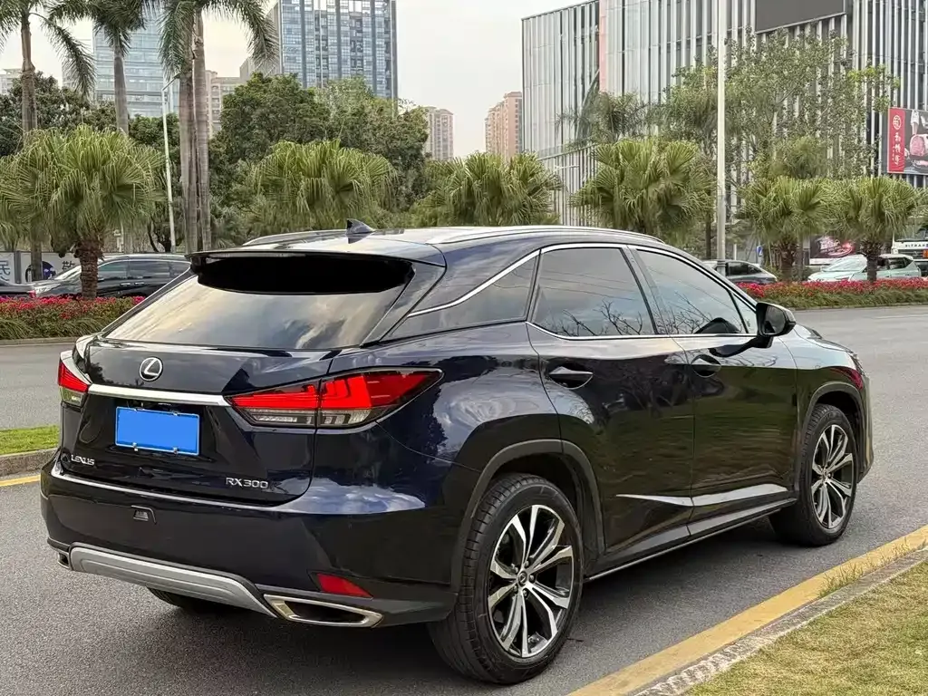 Lexus RX — фото 10