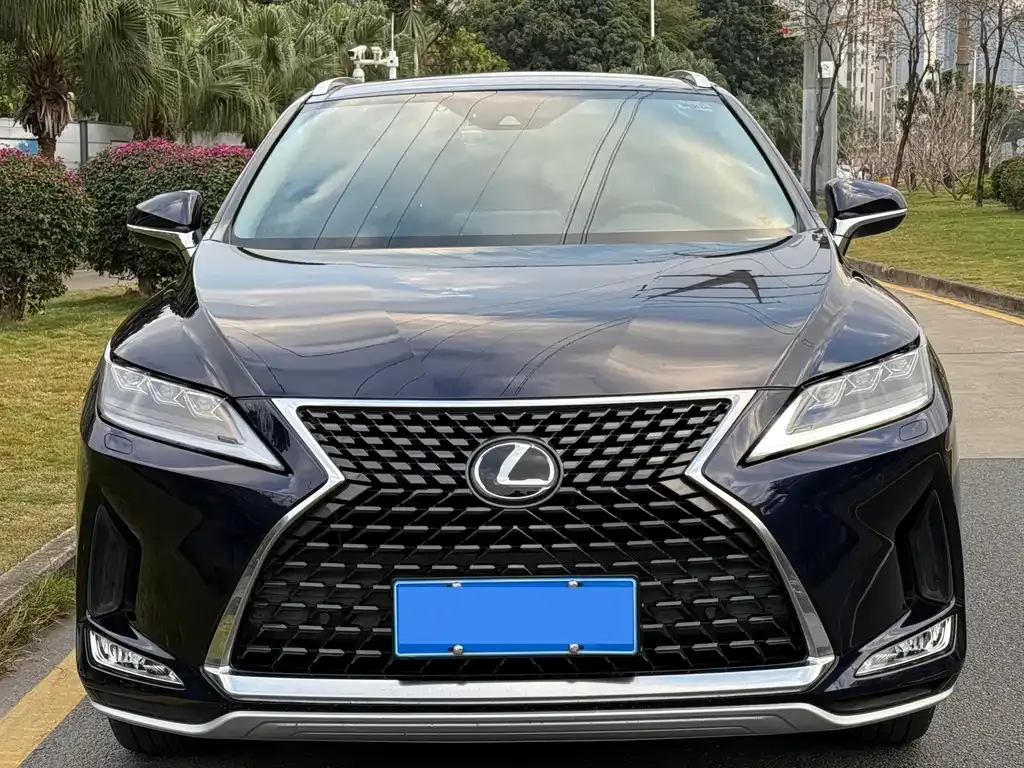 Lexus RX — фото 9