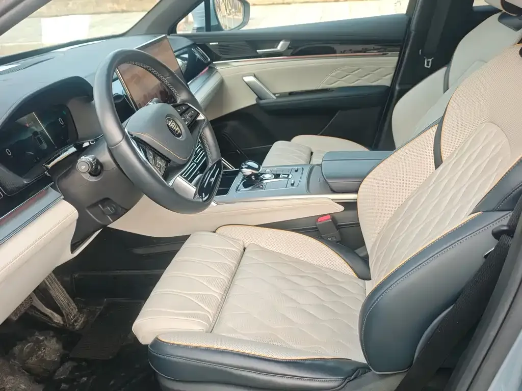 BYD Tang New Energy 2023 из CN, фото 4