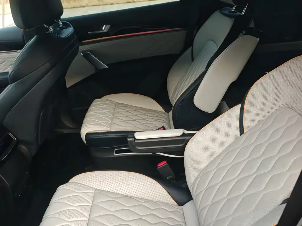 BYD Tang New Energy 2023 из CN, фото 5