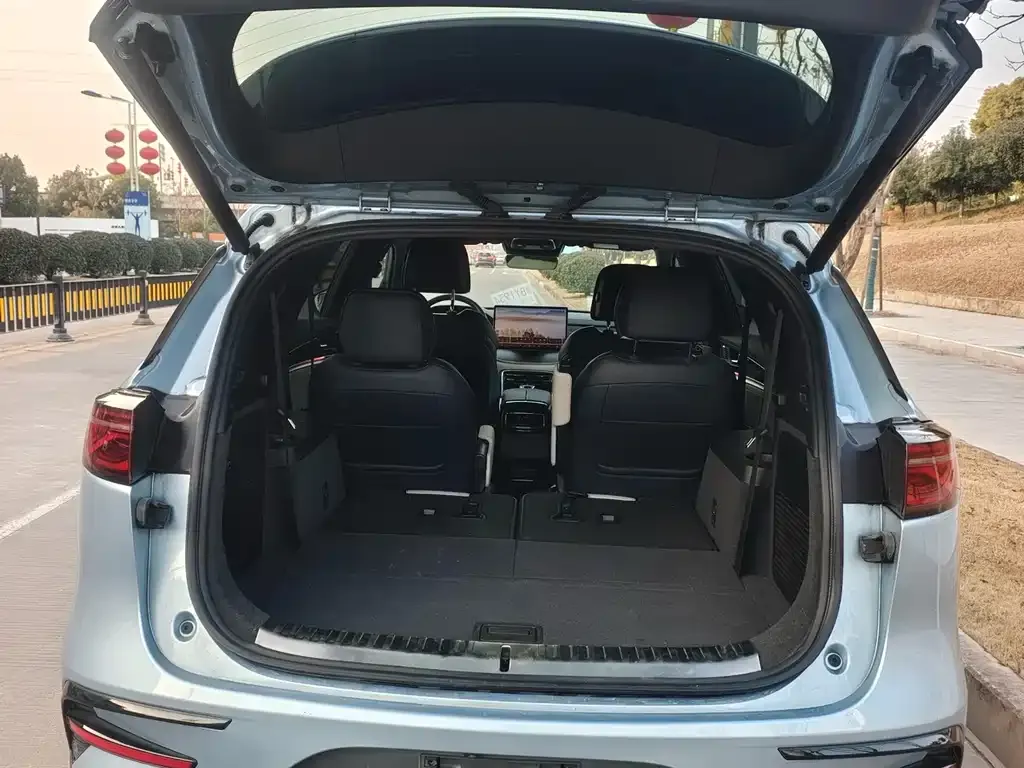 BYD Tang New Energy 2023 из CN, фото 7