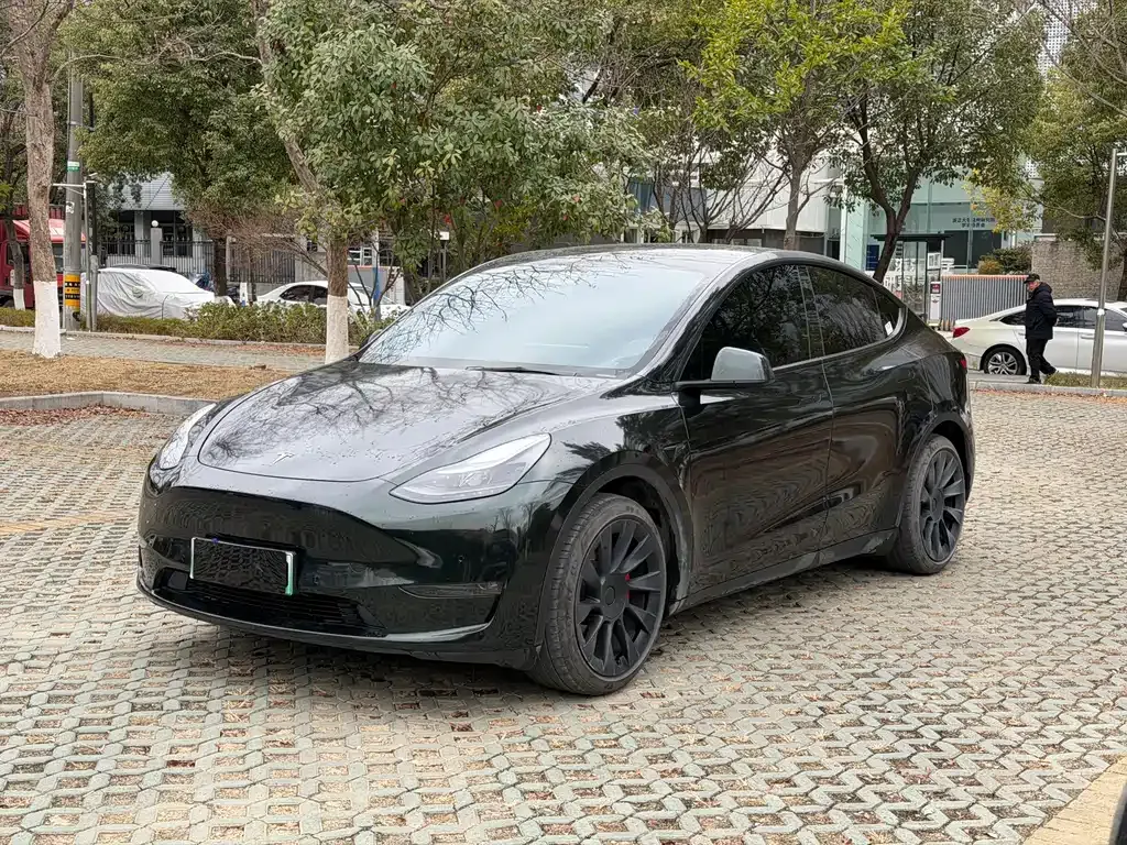 Tesla Model Y 2022 из CN, фото 1