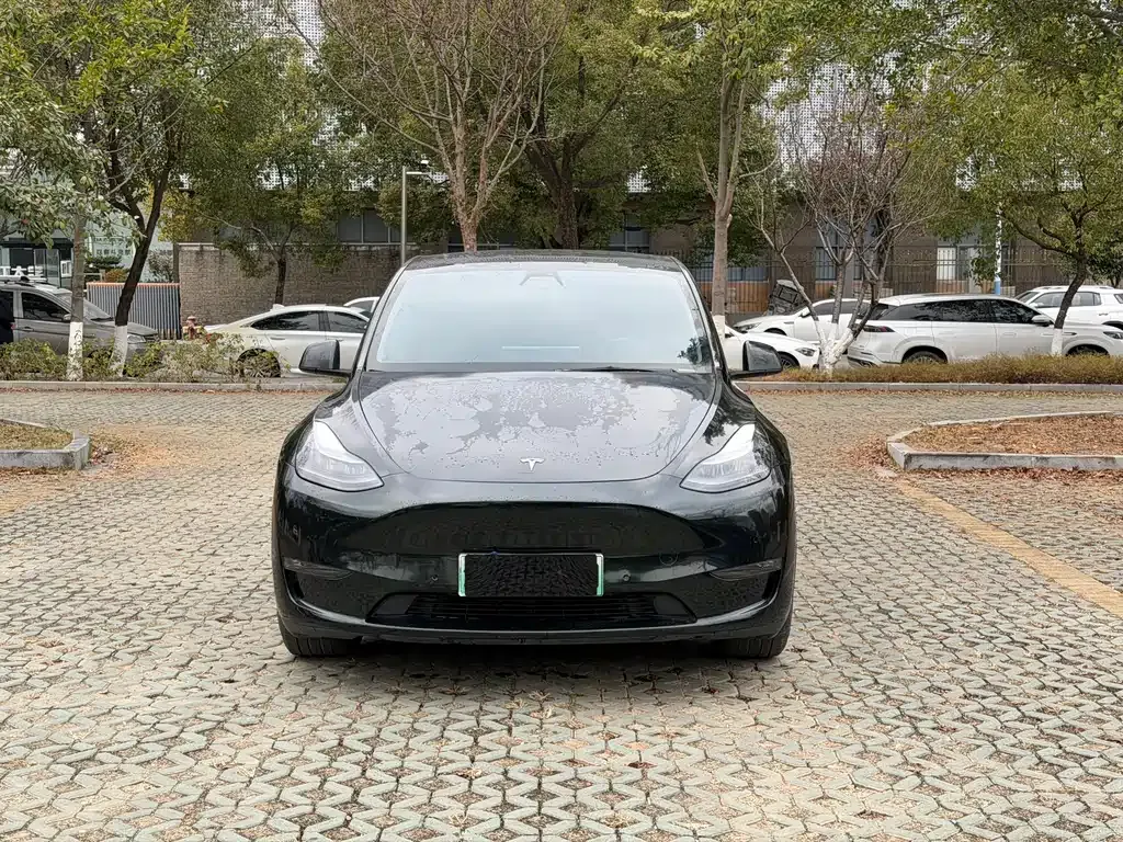 Tesla Model Y 2022 из CN, фото 9