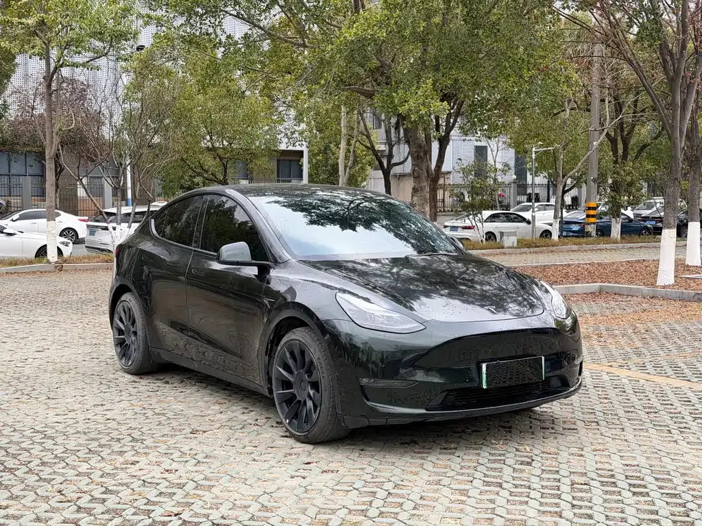 Tesla Model Y 2022 из CN, фото 10