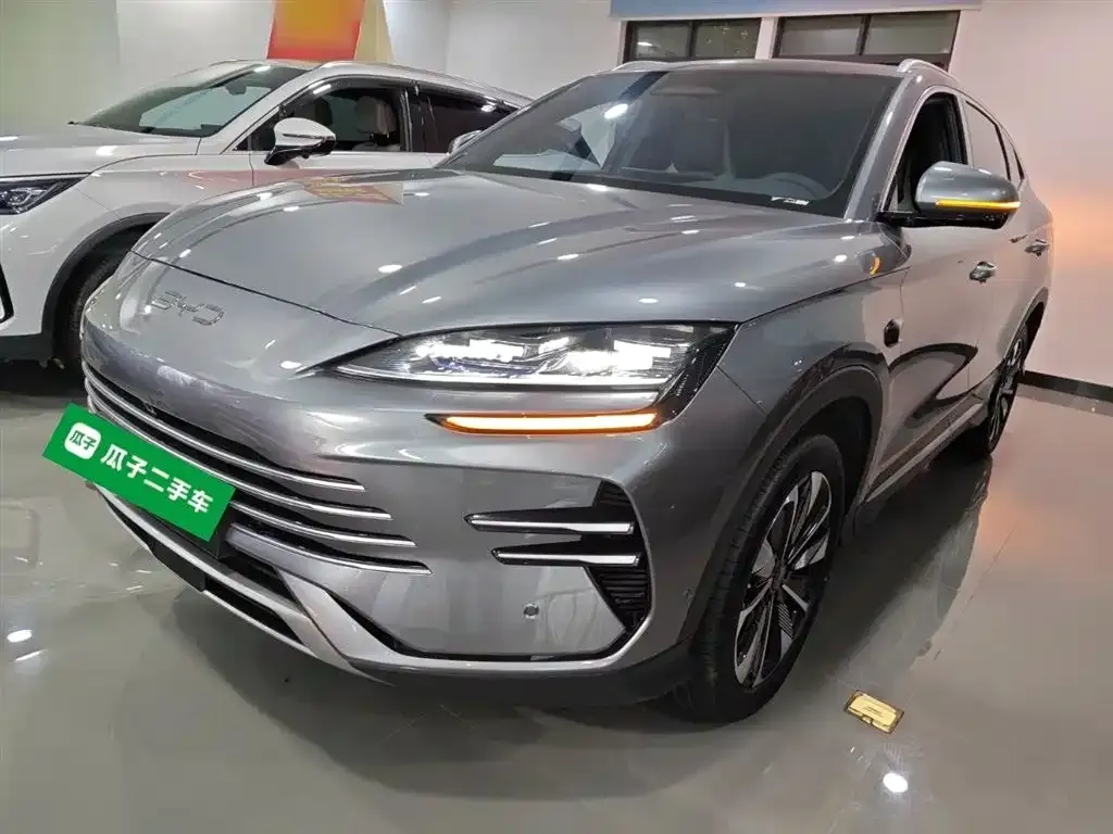 BYD PLUS New Energy 2025 из CN, фото 9