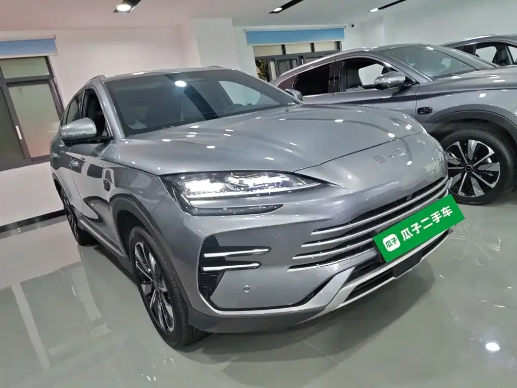 BYD PLUS New Energy 2025 из CN, фото 4