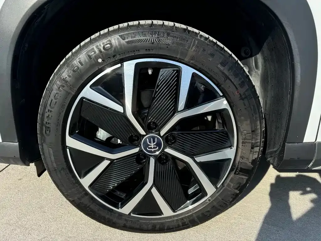 BYD L DM-i 2025 из CN, фото 8