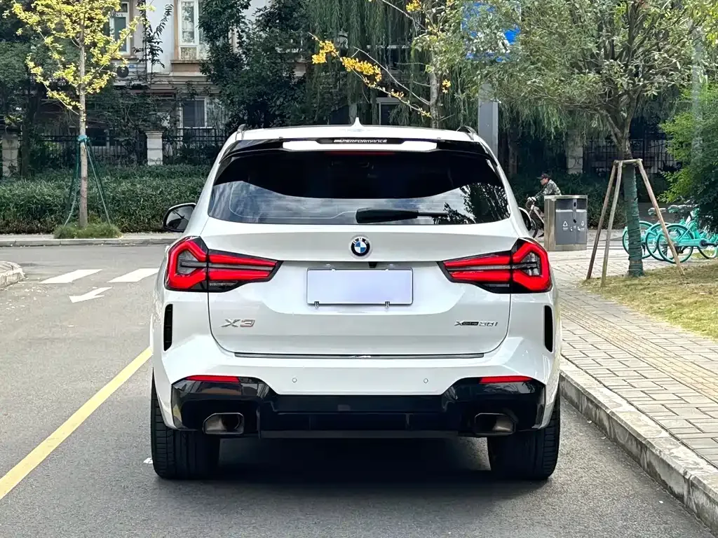 BMW X3 2023 из CN, фото 6