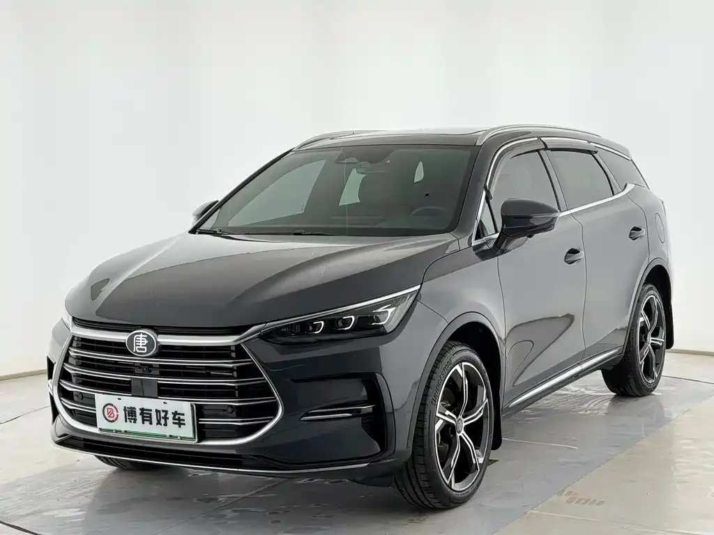 BYD Tang New Energy — фото 1