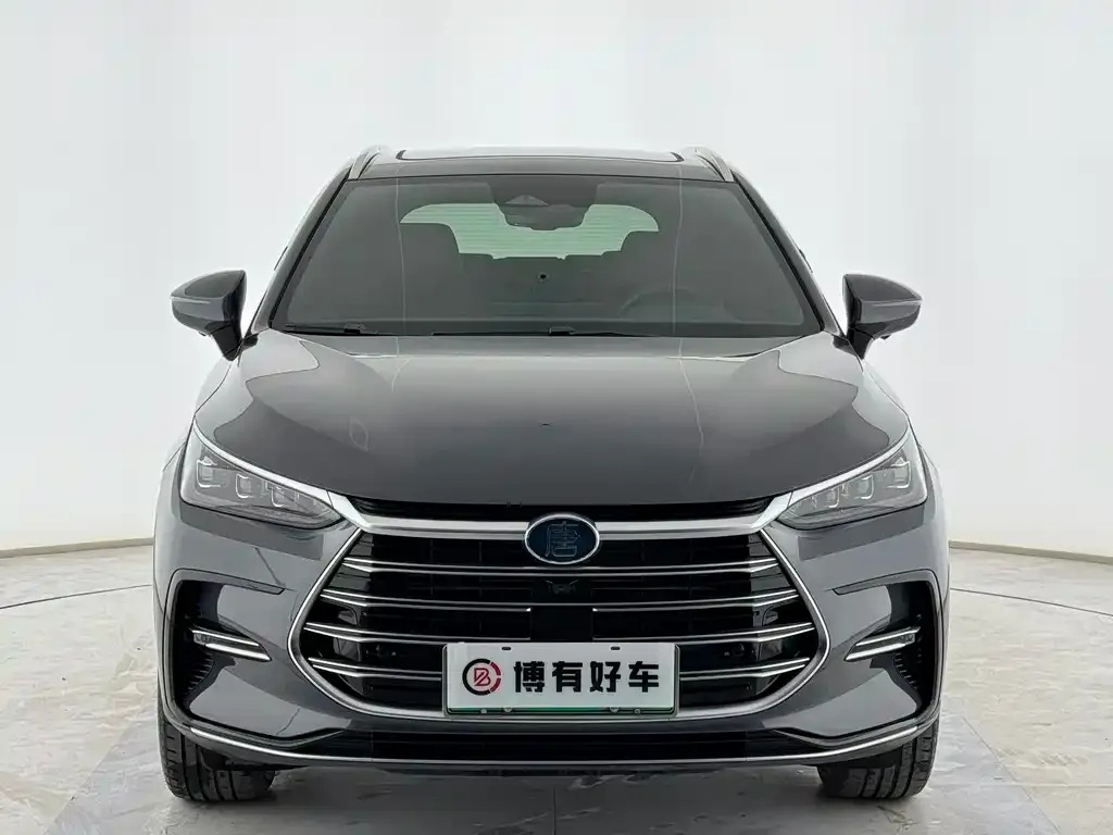 BYD Tang New Energy — фото 2