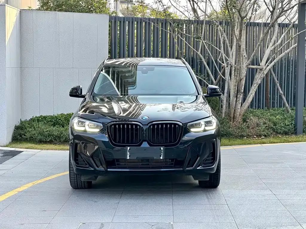 BMW X3 2024 из CN, фото 4