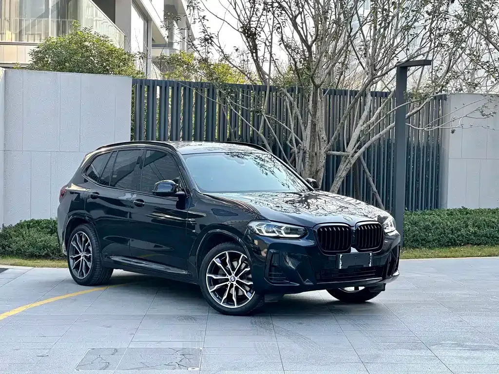 BMW X3 2024 из CN, фото 8
