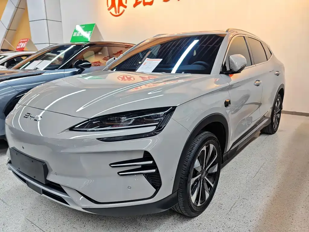 BYD PLUS New Energy — фото 1
