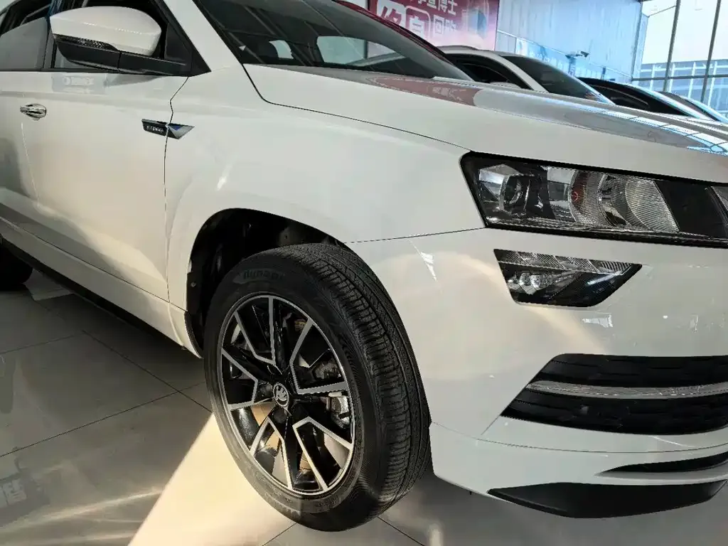 Skoda Karoq 2022 из CN, фото 4