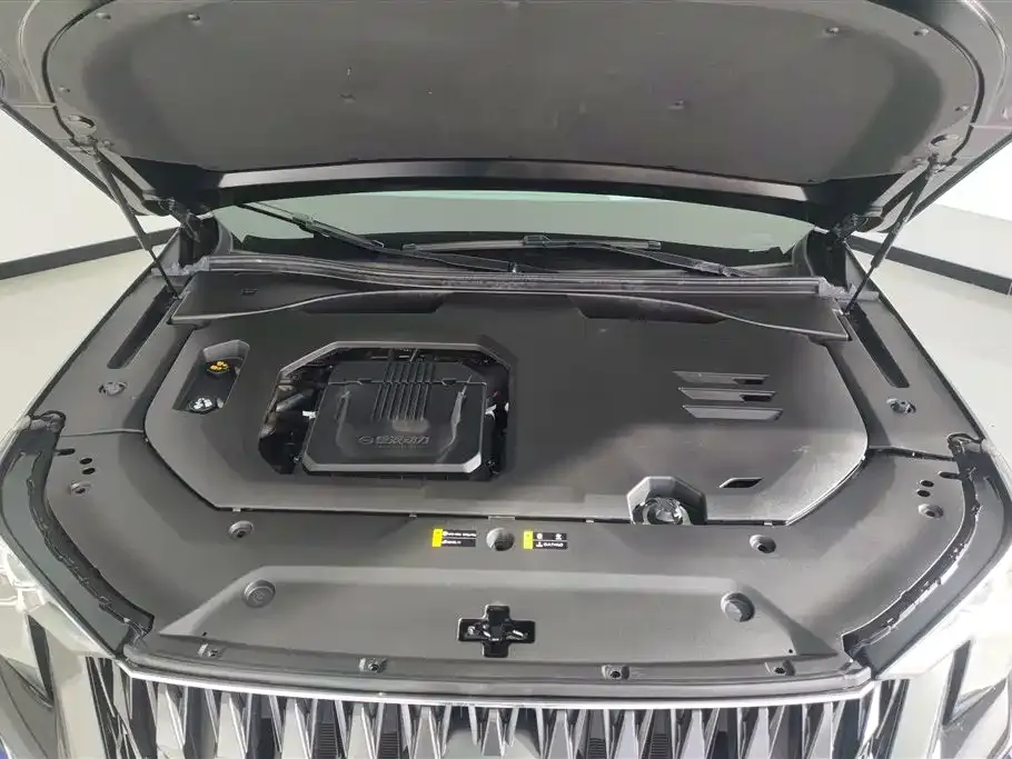 GAC Motor Trumpchi GS8 2022 из CN, фото 9