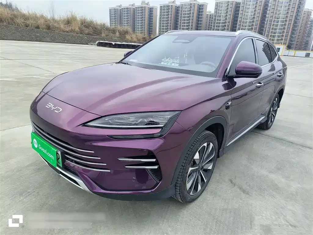BYD PLUS New Energy — фото 10