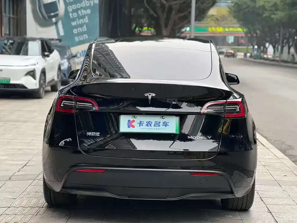 Tesla Model Y 2023 из CN, фото 8