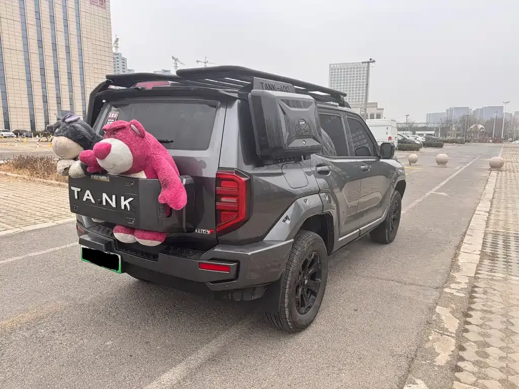 Tank 400 New Energy 2024 из CN, фото 7