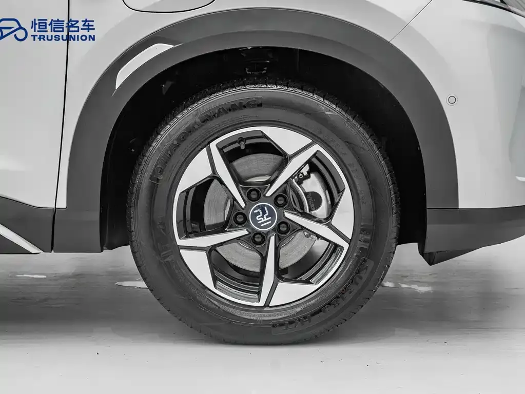 BYD Yuan UP — фото 10