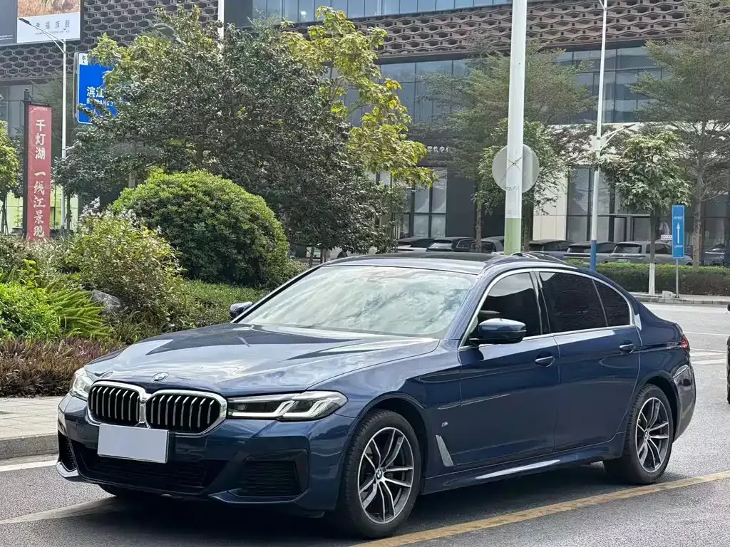 BMW 5 Series 2021 из CN, фото 1