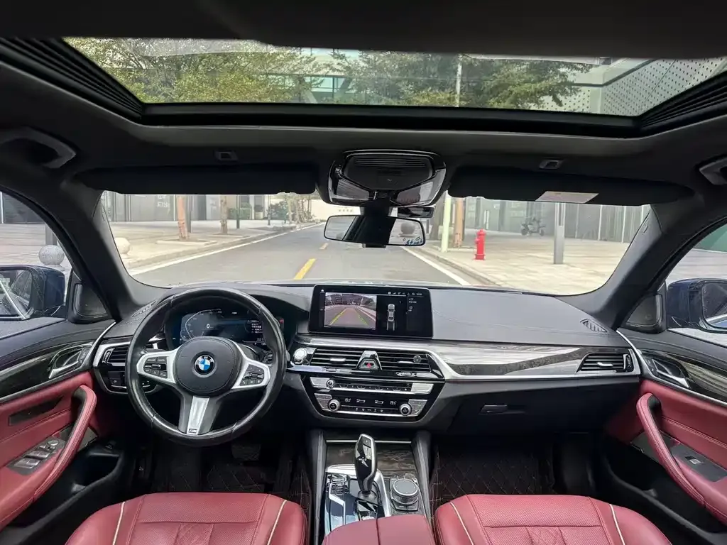 BMW 5 Series 2021 из CN, фото 4