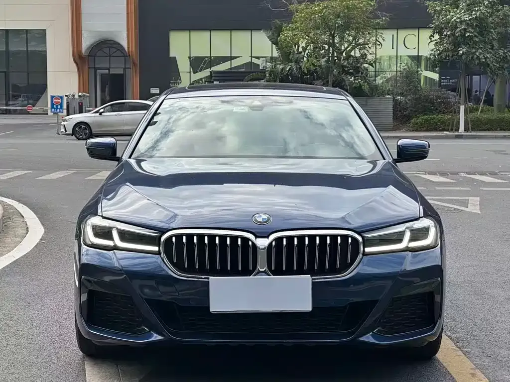 BMW 5 Series 2021 из CN, фото 9