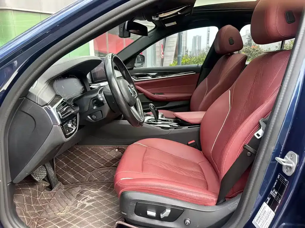 BMW 5 Series 2021 из CN, фото 10