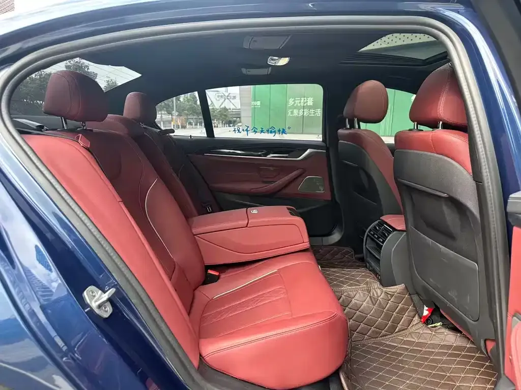 BMW 5 Series 2021 из CN, фото 8