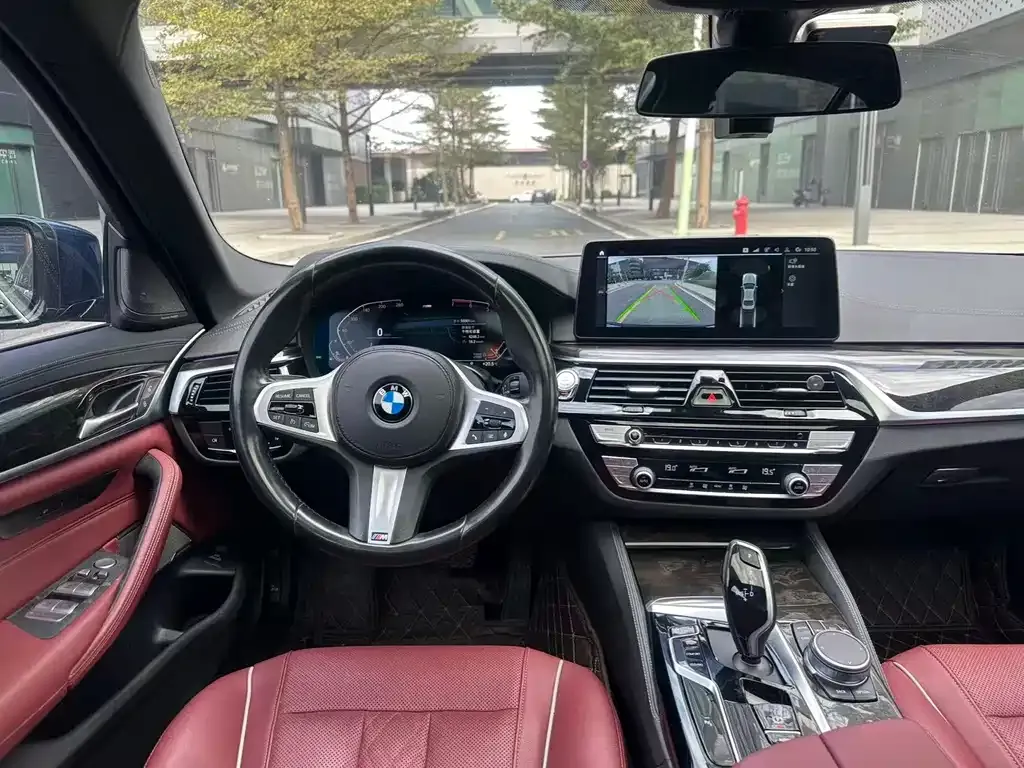 BMW 5 Series 2021 из CN, фото 3