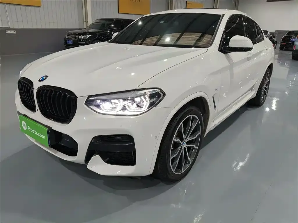 BMW X4 — фото 6