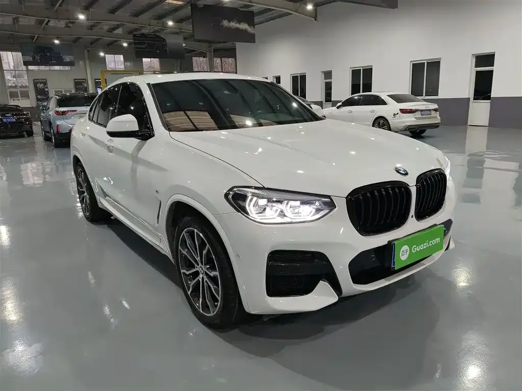 BMW X4 — фото 8