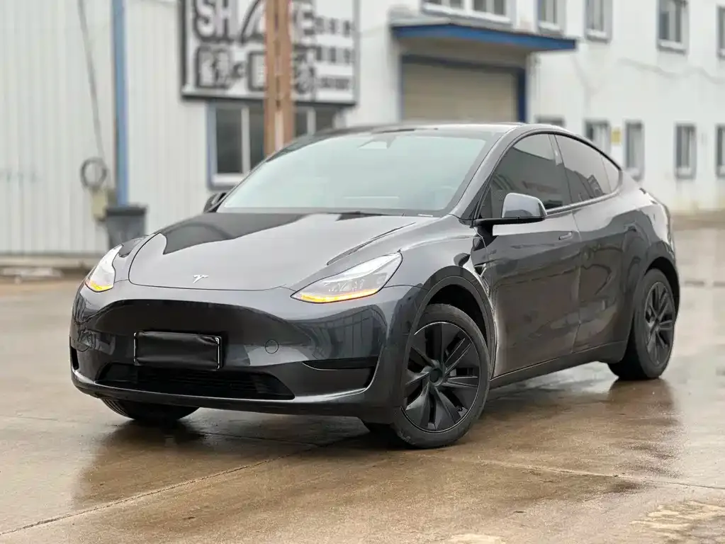 Tesla Model Y — фото 1