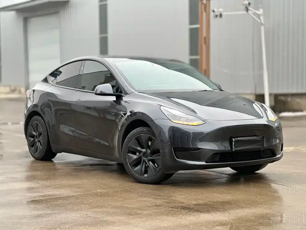 Tesla Model Y — фото 6