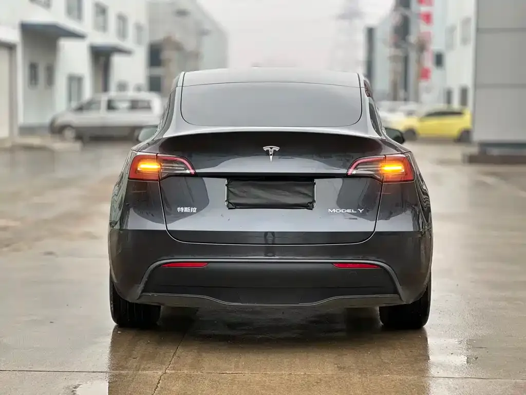 Tesla Model Y — фото 9