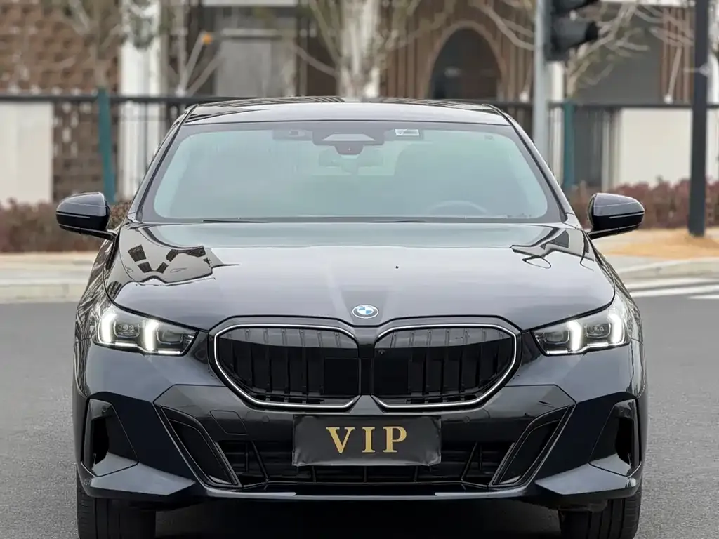 BMW 5 Series 2025 из CN, фото 6