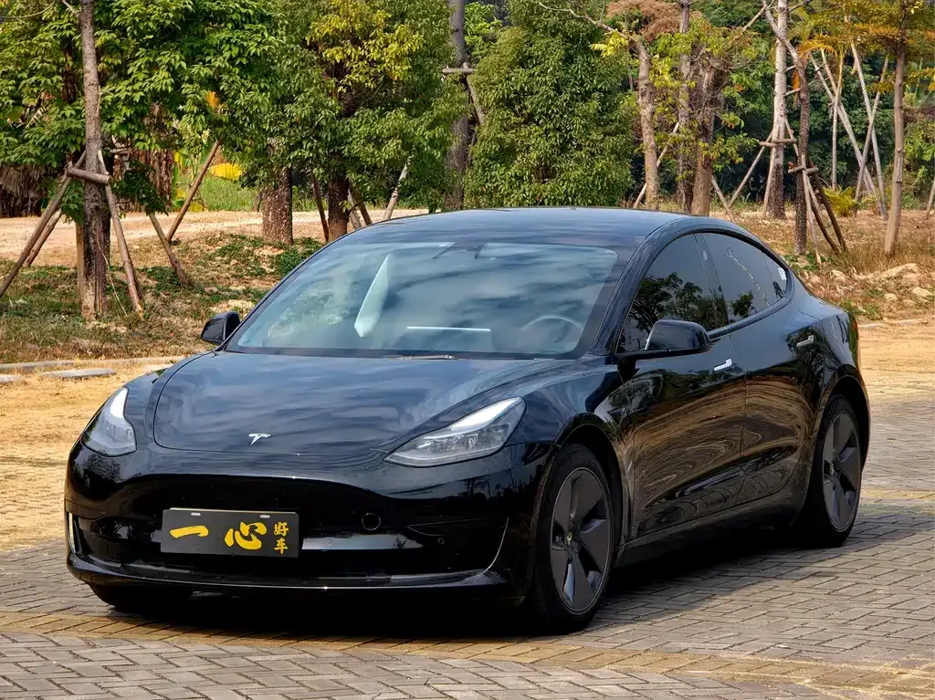 Tesla Model 3 2023 из CN, фото 1