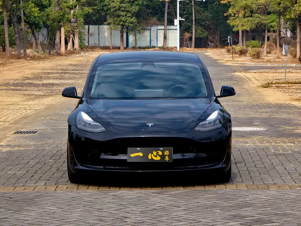 Tesla Model 3 2023 из CN, фото 9
