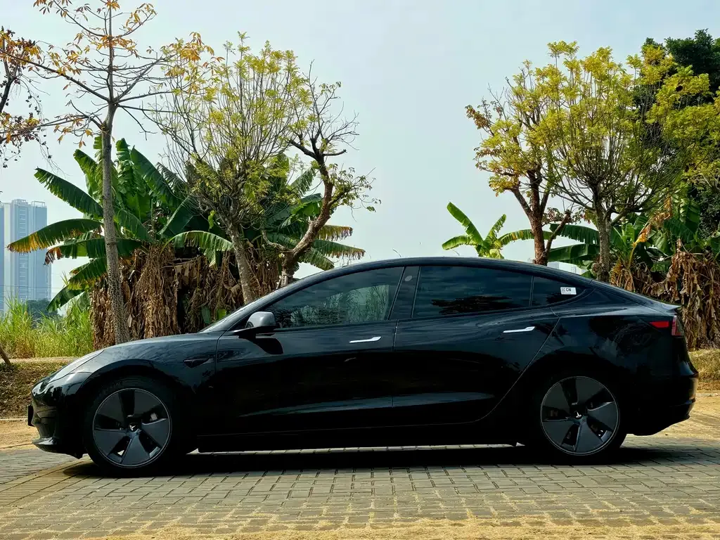 Tesla Model 3 2023 из CN, фото 8