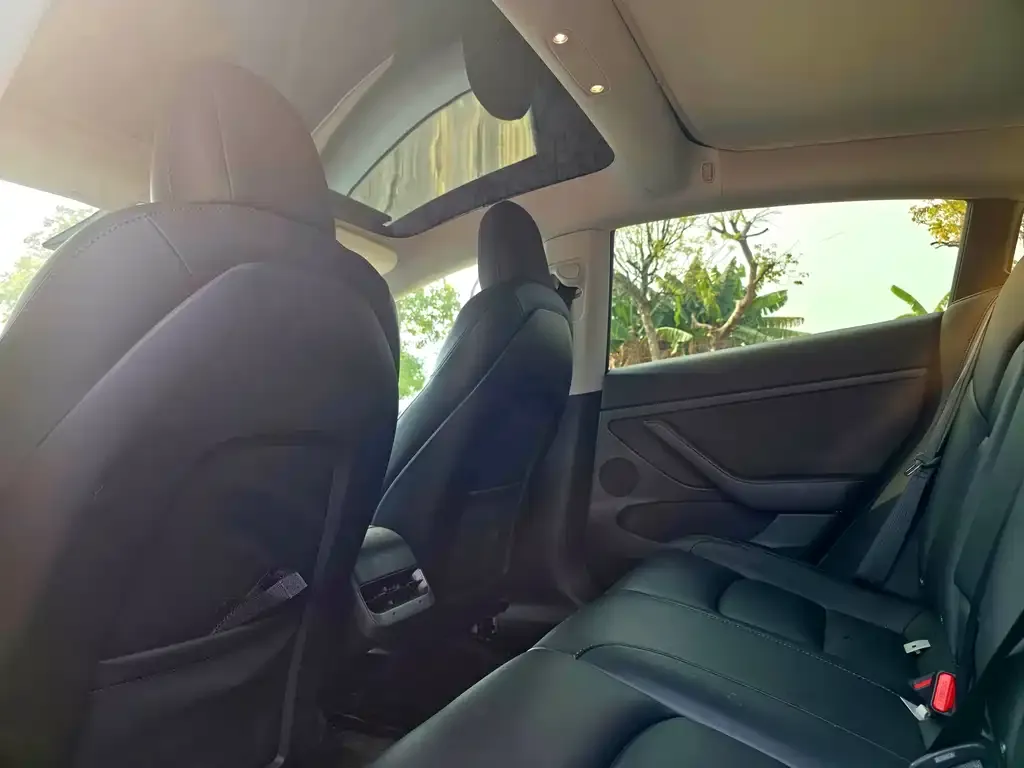 Tesla Model 3 2023 из CN, фото 2