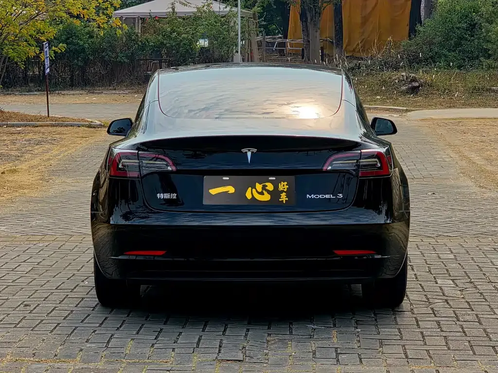 Tesla Model 3 2023 из CN, фото 5